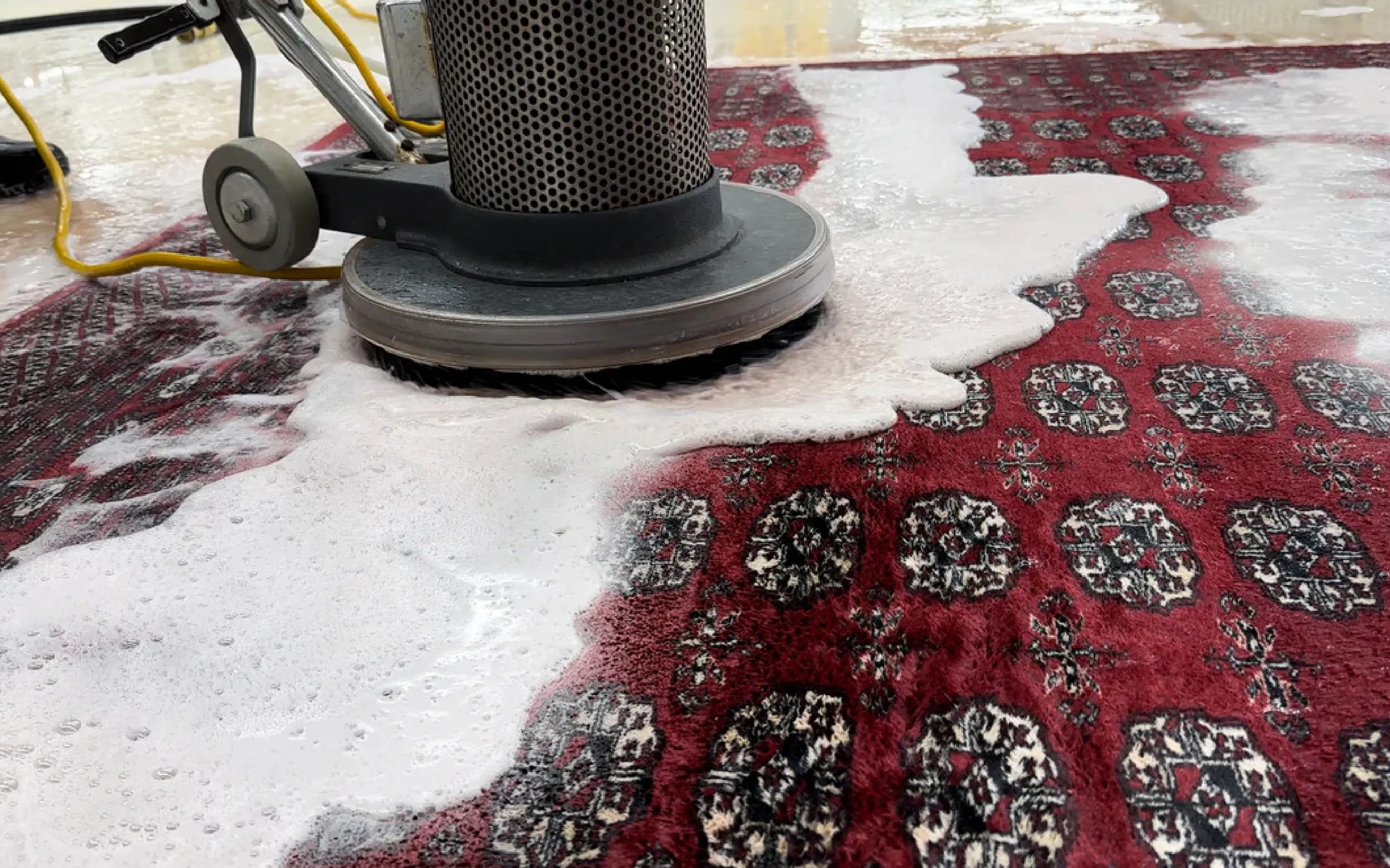 carpet cleaning in new jersey, carpet cleaning in new jersey, carpet cleaning new jersey, carpet cleaners in new jersey, carpet cleaners in new jersey, commercial carpet cleaning, commercial carpet cleaning in new jersey, new jersey rug cleaners, rug cleaning services in new jersey, same day carpet cleaning, same day rug cleaning