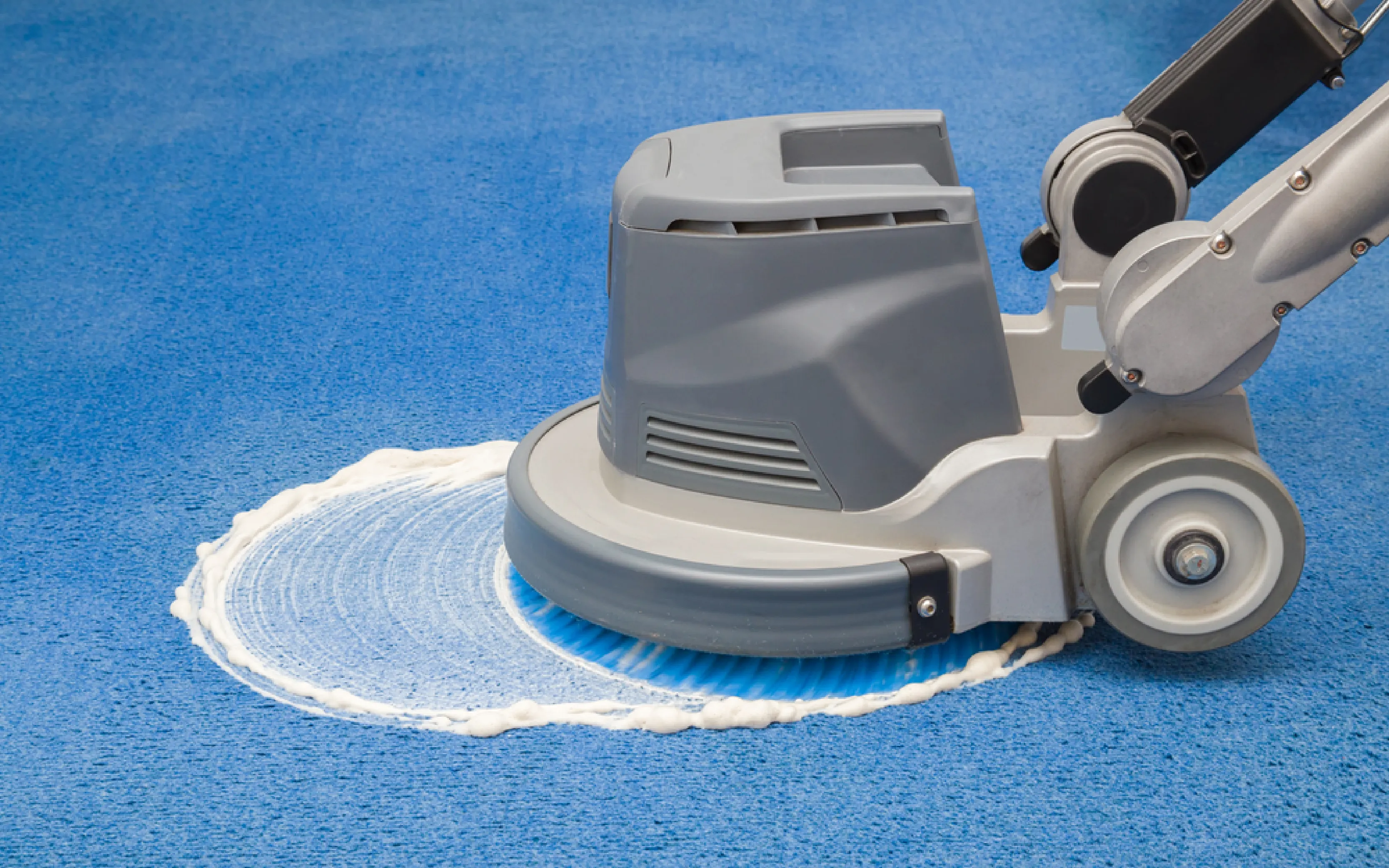 carpet cleaning in new jersey, carpet cleaning in new jersey, carpet cleaning new jersey, carpet cleaners in new jersey, carpet cleaners in new jersey, commercial carpet cleaning, commercial carpet cleaning in new jersey, new jersey rug cleaners, rug cleaning services in new jersey, same day carpet cleaning, same day rug cleaning